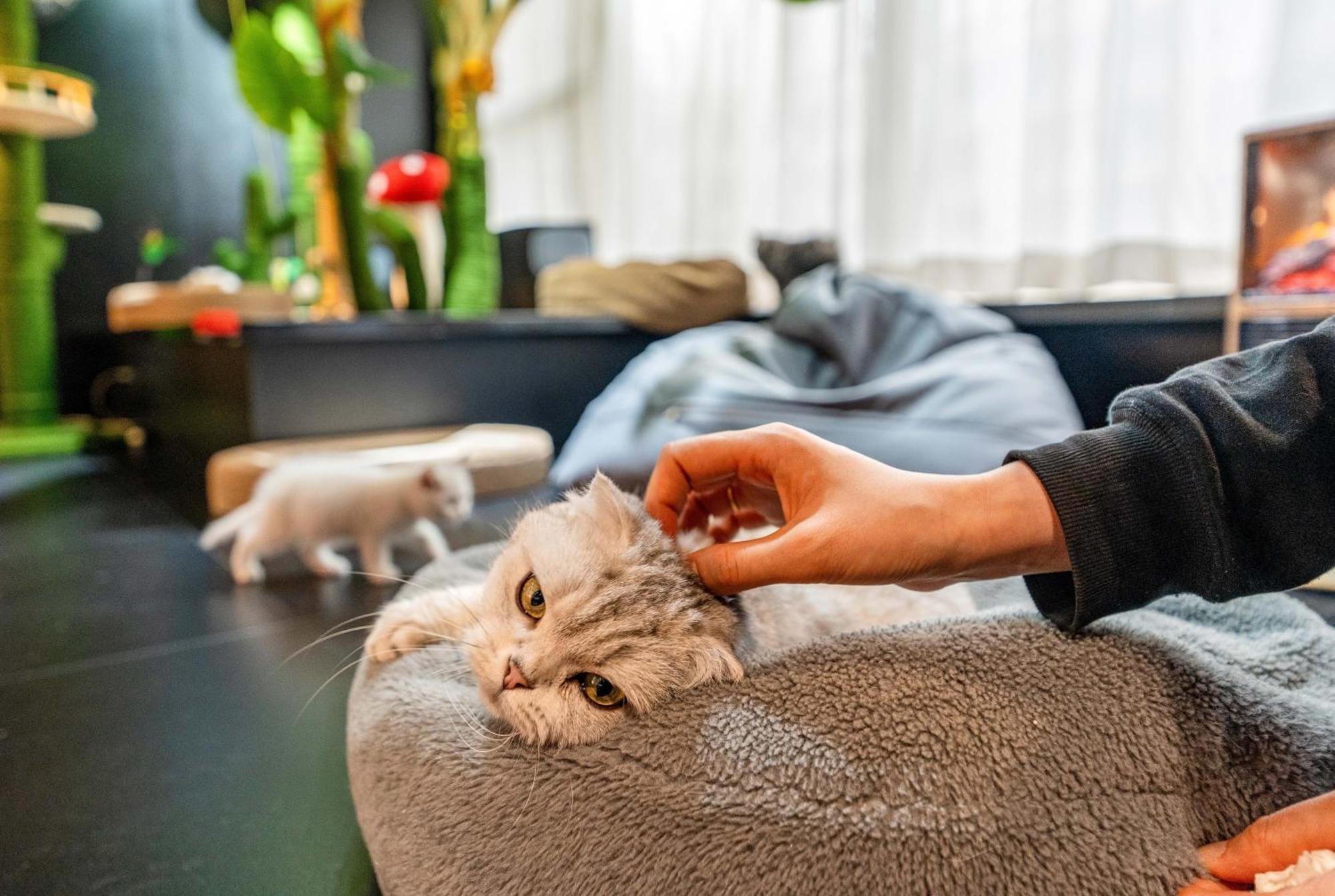 Hesu Designer Hotel & Suites -Near Xi'An Drum Tower And Yongning Gate -Free Laundry Luggage Storage -Kitty Cafe With Freshly Ground Coffee -24H Front Desk -English Service Ngoại thất bức ảnh